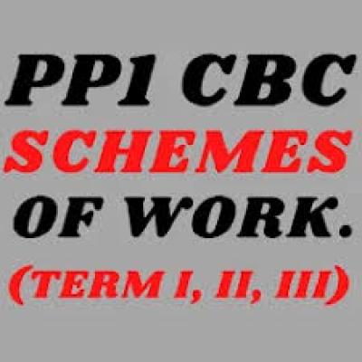 Scheme Of Work Pp1 (Whole Year)